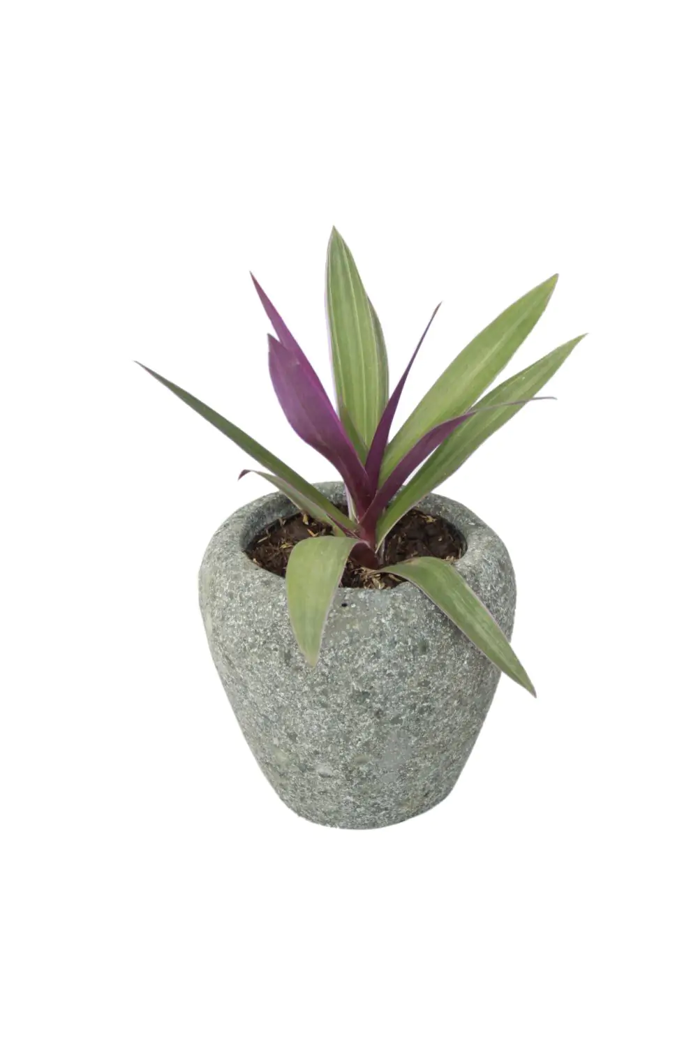  Product image 2 of the product “Planter, round, smooth, bulbous. The height is 13 cm. ”